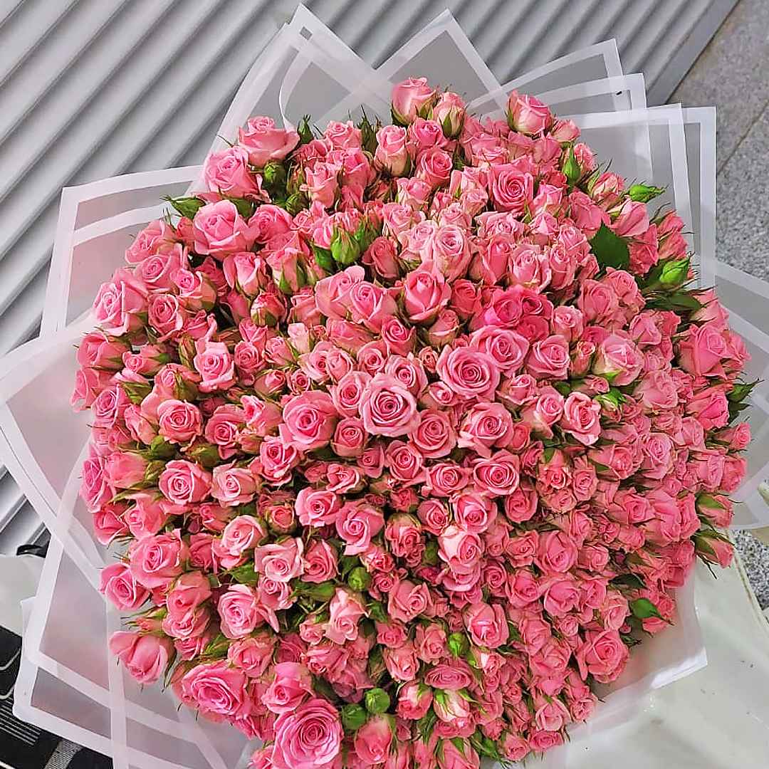 Pink baby rose hand flower bouquet 100 stems