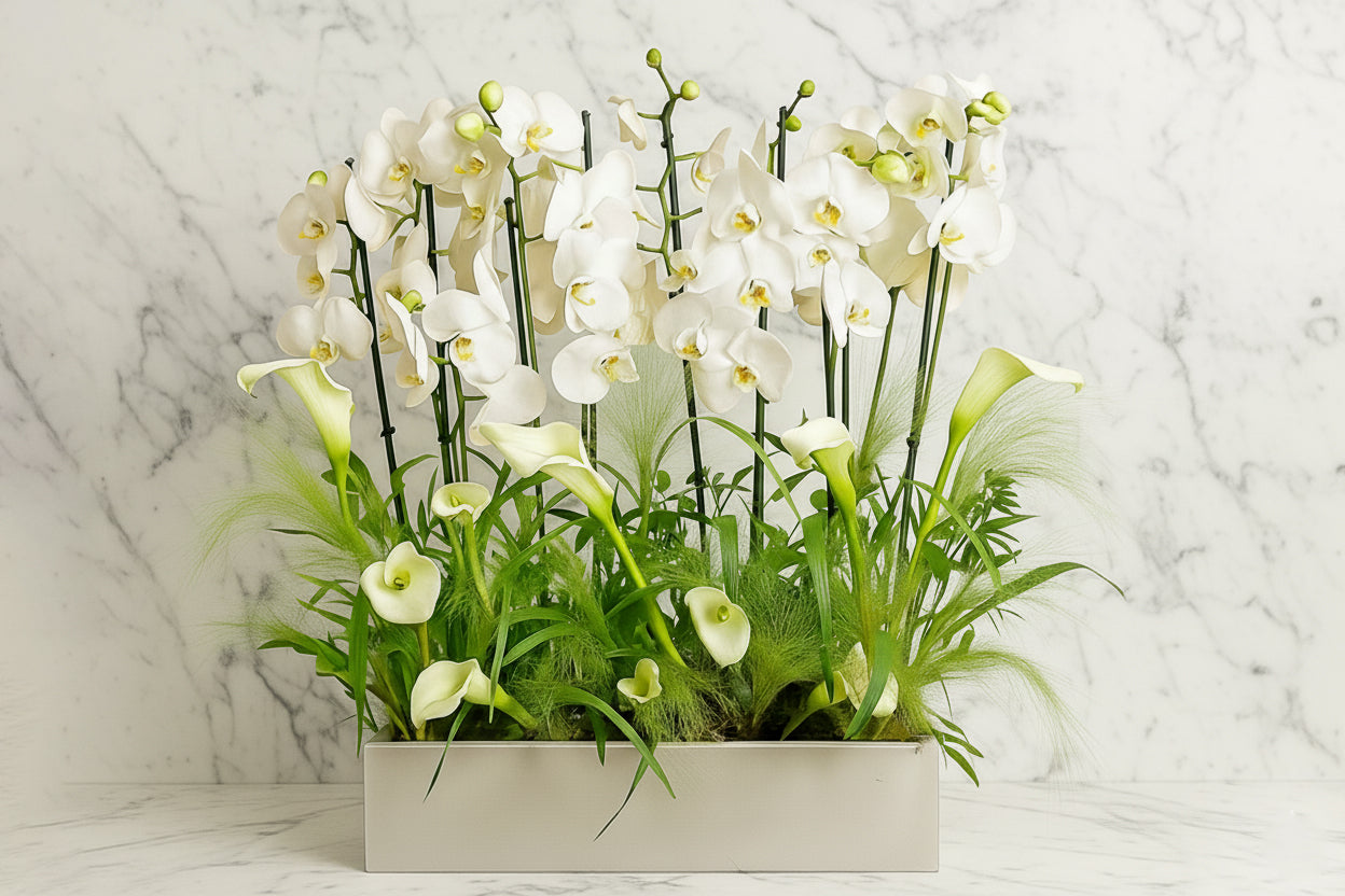 Pure Elegance in Bloom