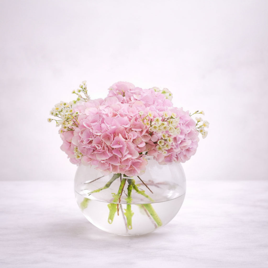 Blush Hydrangea Elegance - italianflowerkw