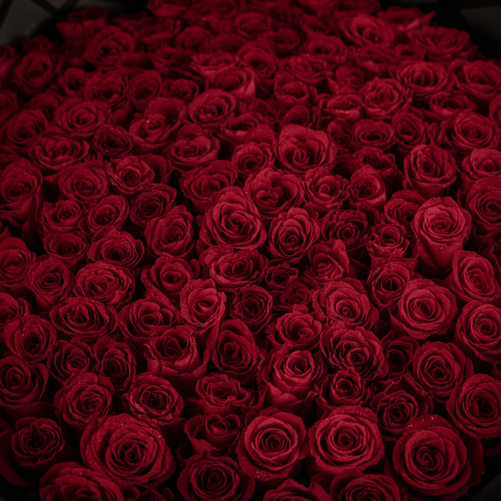 100 Red Roses Bouquet – Black Edition-italianflowerkw