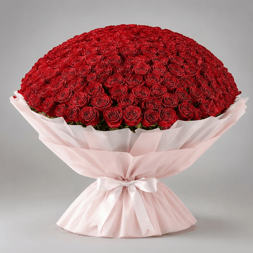1000 Red Roses Grand Bouquet-italianflowerkw