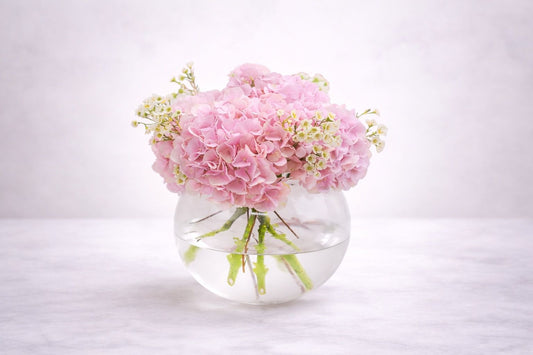 Blush Hydrangea Elegance