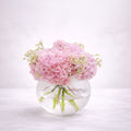 Blush Hydrangea Elegance - italianflowerkw