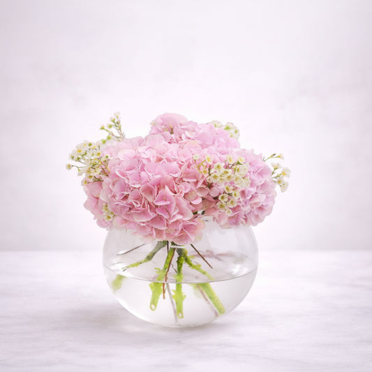Blush Hydrangea Elegance - italianflowerkw