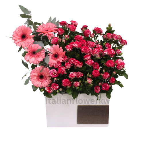 pink gerbera daisies