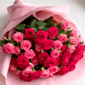 Pink & Fuchsia Baby Roses Bouquet – 10 Pcs-italianflowerkw