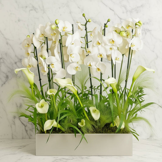 Pure Elegance in Bloom - italianflowerkw