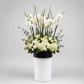 Floral arrangement in a black pot on a white vase against a gray background-White Orchid & Hydrangea Luxury Arrangement