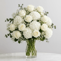 White rose with hydrengea flower arrangement. - italianflowerkw